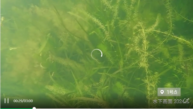 項目展示|江南大學(xué)(江陰校區(qū))水環(huán)境生態(tài)治理工程項目視頻